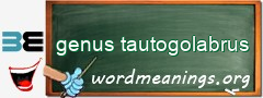 WordMeaning blackboard for genus tautogolabrus